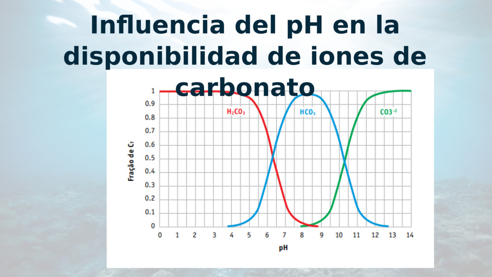 Influencia del pH en la disponibilidad de iones de carbonato
