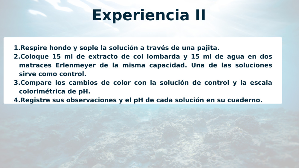 Experiencia II