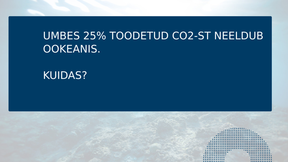 UMBES 25% TOODETUD CO2-ST NEELDUB OOKEANIS.