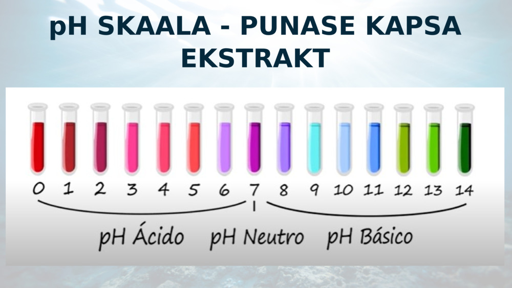 pH SKAALA - PUNASE KAPSA EKSTRAKT