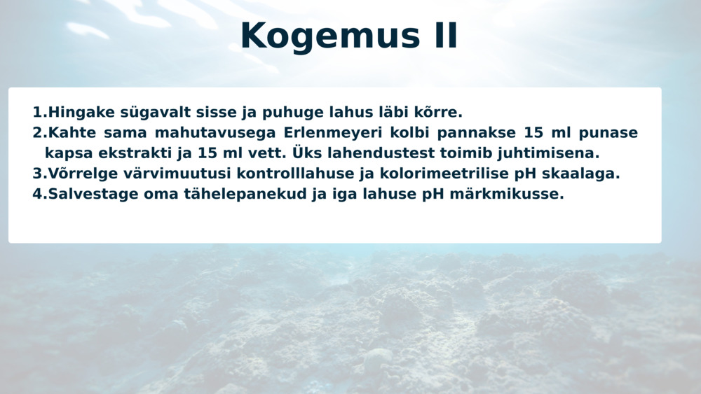 Kogemus II