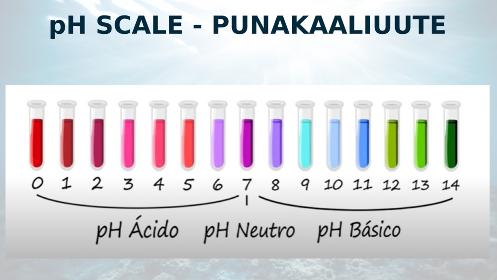 pH SCALE - PUNAKAALIUUTE