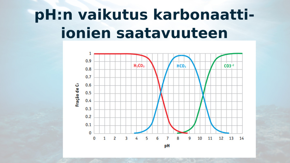 pH:n vaikutus karbonaatti-ionien saatavuuteen