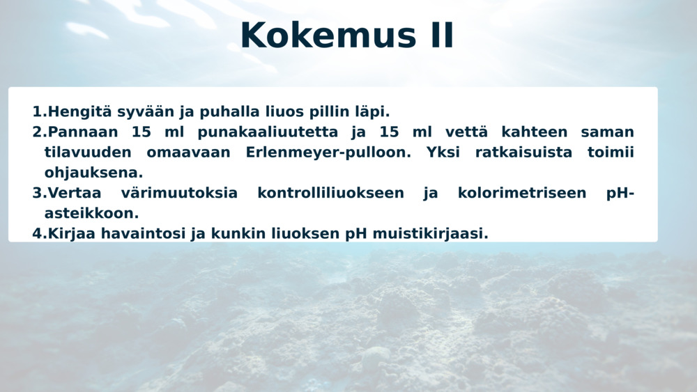 Kokemus II