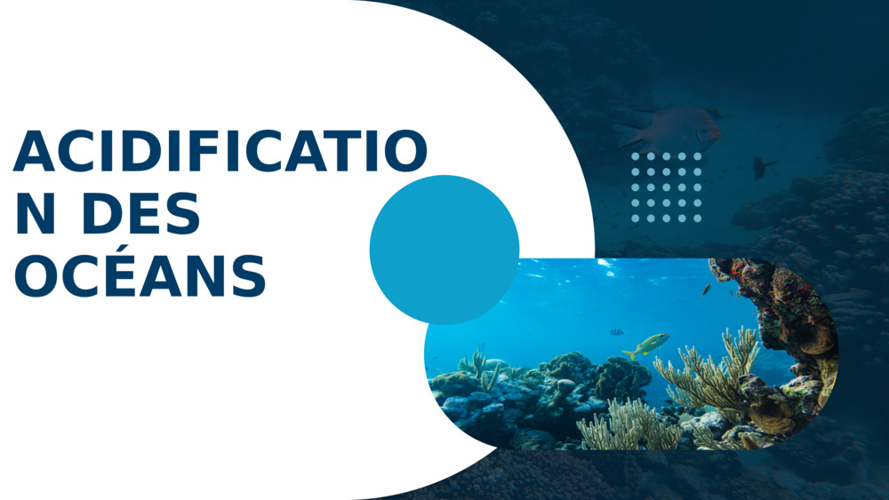 ACIDIFICATION DES OCÉANS