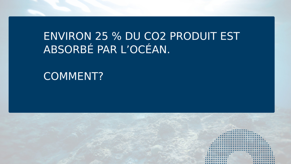 ENVIRON 25 % DU CO2 PRODUIT EST ABSORBÉ PAR L’OCÉAN.