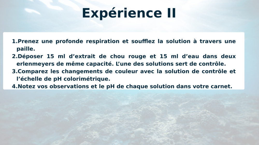 Expérience II