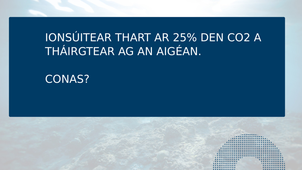 IONSÚITEAR THART AR 25% DEN CO2 A THÁIRGTEAR AG AN AIGÉAN.