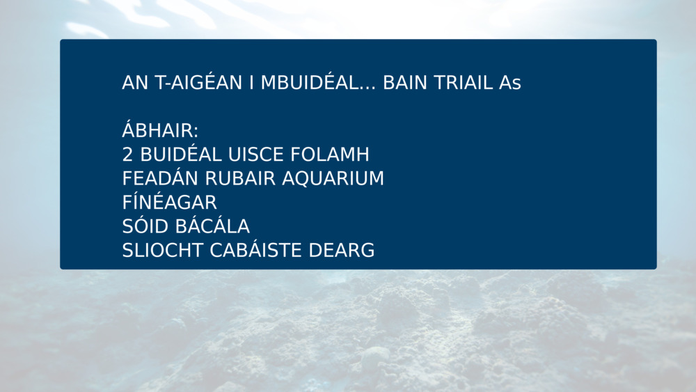 AN T-AIGÉAN I MBUIDÉAL... BAIN TRIAIL As