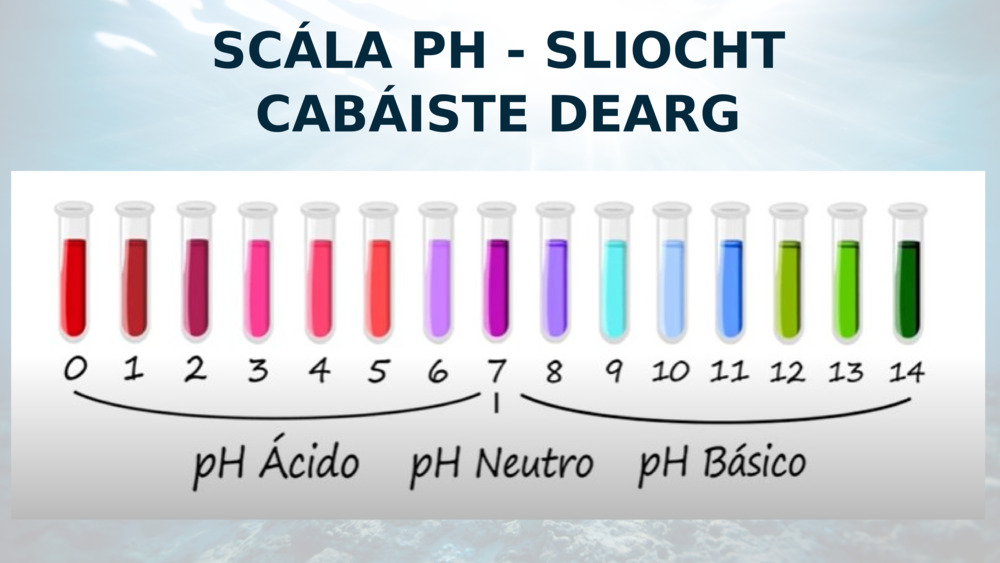 SCÁLA PH - SLIOCHT CABÁISTE DEARG