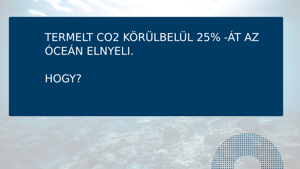 TERMELT CO2 KÖRÜLBELÜL 25% -ÁT AZ ÓCEÁN ELNYELI.