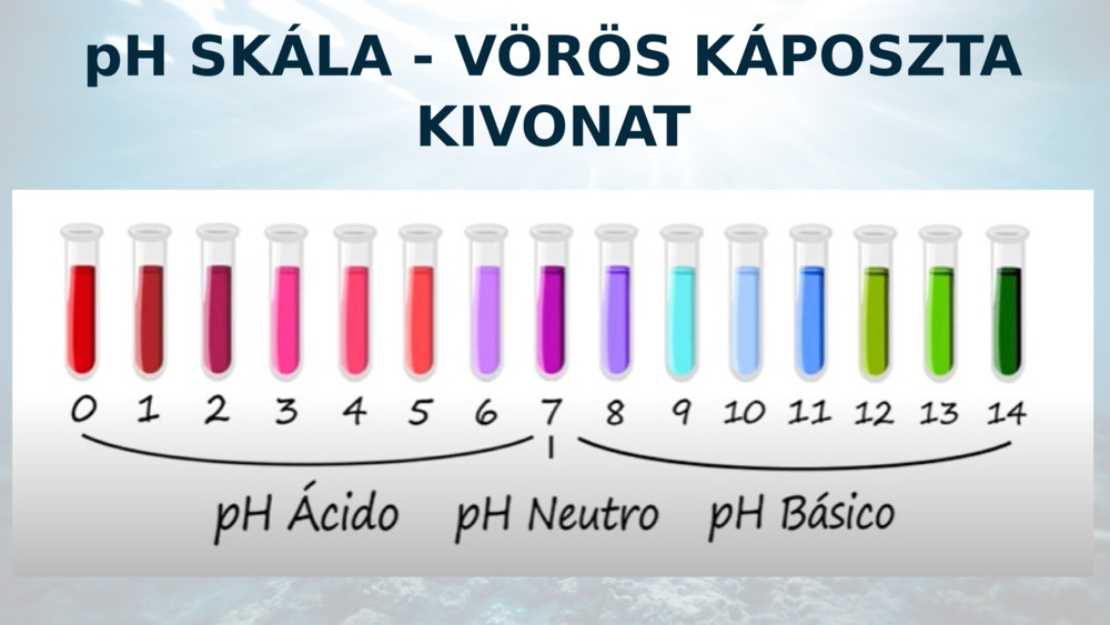 pH SKÁLA - VÖRÖS KÁPOSZTA KIVONAT