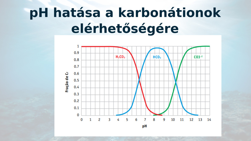 pH hatása a karbonátionok elérhetőségére