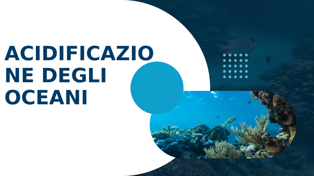 ACIDIFICAZIONE DEGLI OCEANI