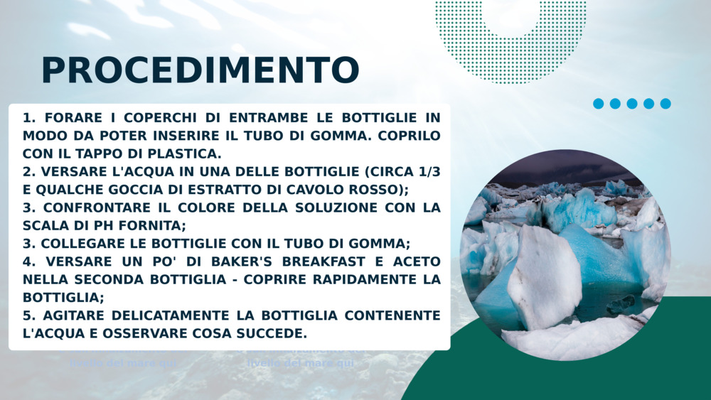 PROCEDIMENTO