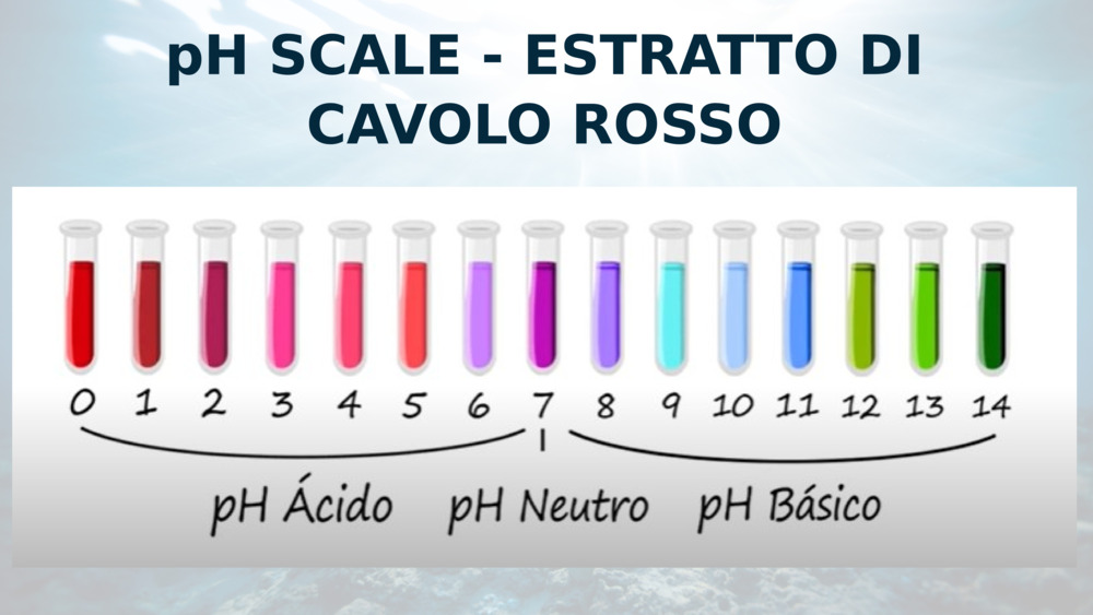 pH SCALE - ESTRATTO DI CAVOLO ROSSO