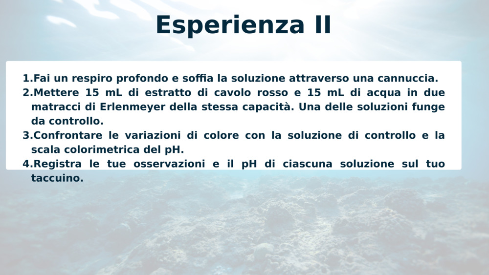 Esperienza II