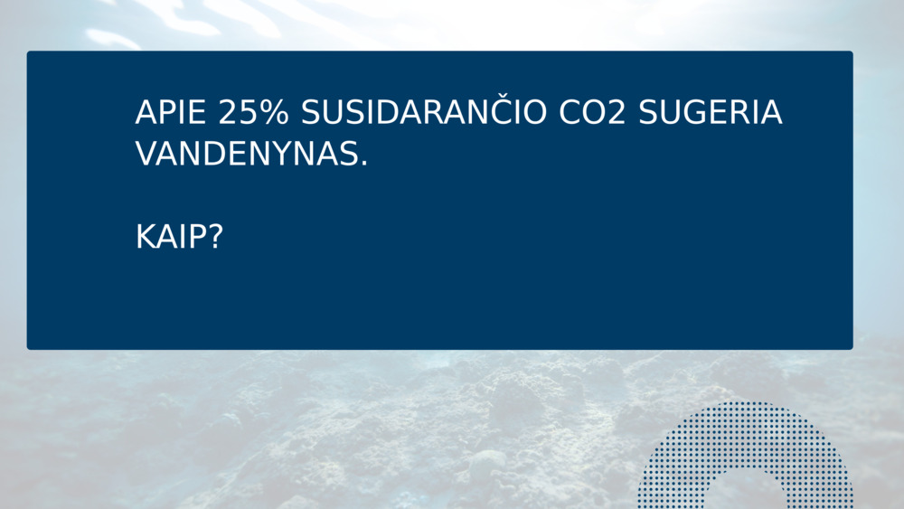 APIE 25% SUSIDARANČIO CO2 SUGERIA VANDENYNAS.