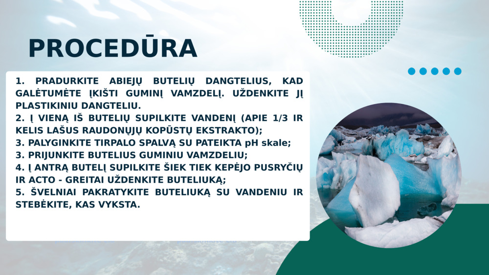 PROCEDŪRA