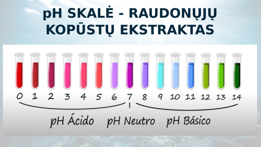 pH SKALĖ - RAUDONŲJŲ KOPŪSTŲ EKSTRAKTAS