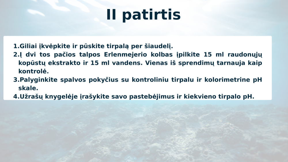 II patirtis