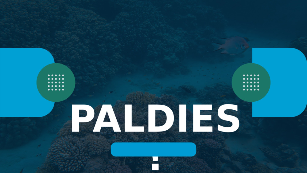 PALDIES!