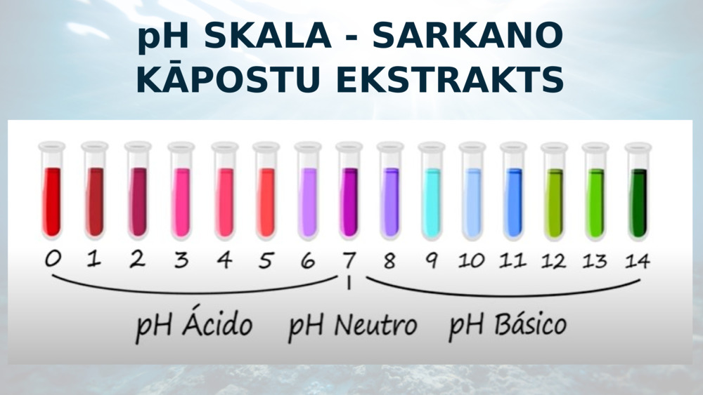 pH SKALA - SARKANO KĀPOSTU EKSTRAKTS