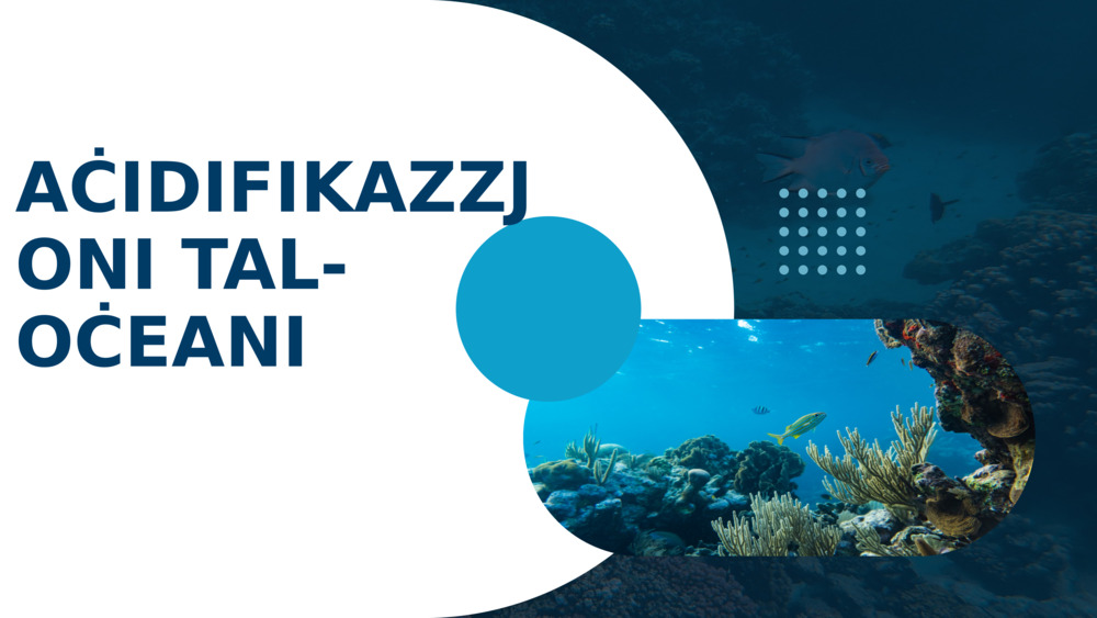 AĊIDIFIKAZZJONI TAL-OĊEANI