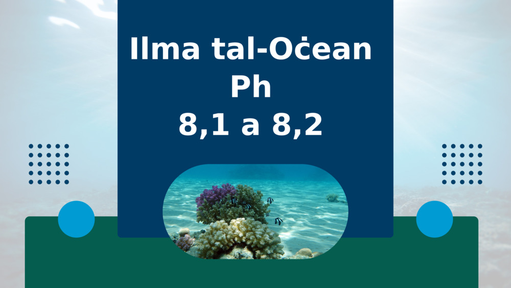 Ilma tal-Oċean