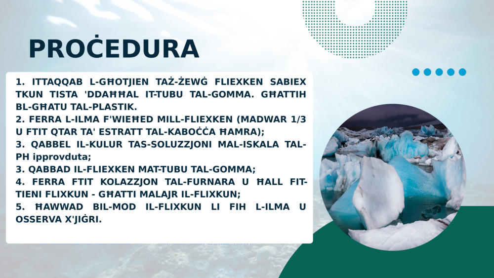 PROĊEDURA
