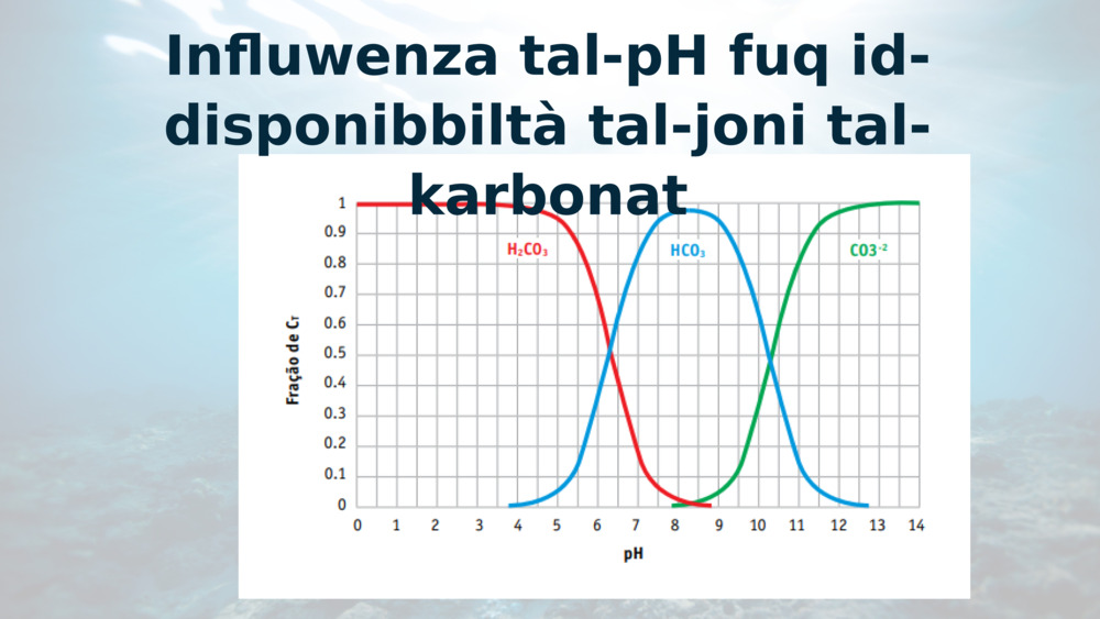 Influwenza tal-pH fuq id-disponibbiltà tal-joni tal-karbonat