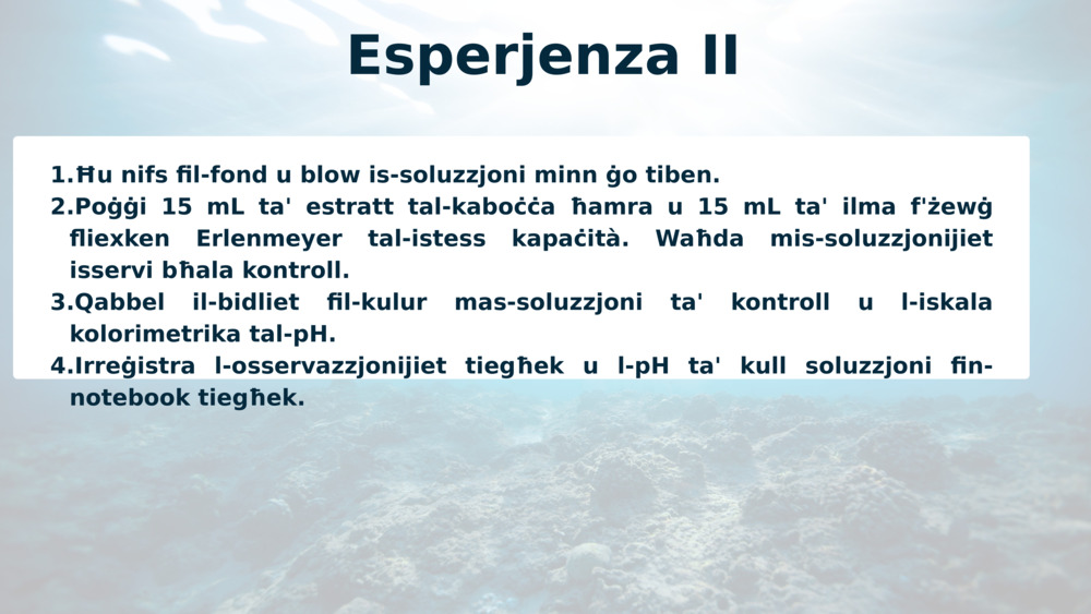 Esperjenza II
