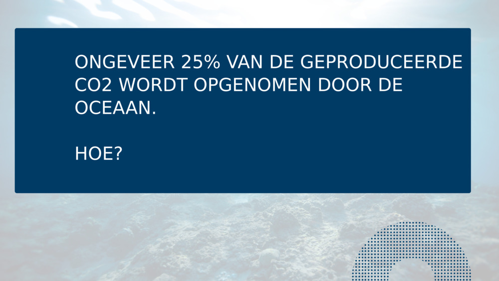 ONGEVEER 25% VAN DE GEPRODUCEERDE CO2 WORDT OPGENOMEN DOOR DE OCEAAN.
