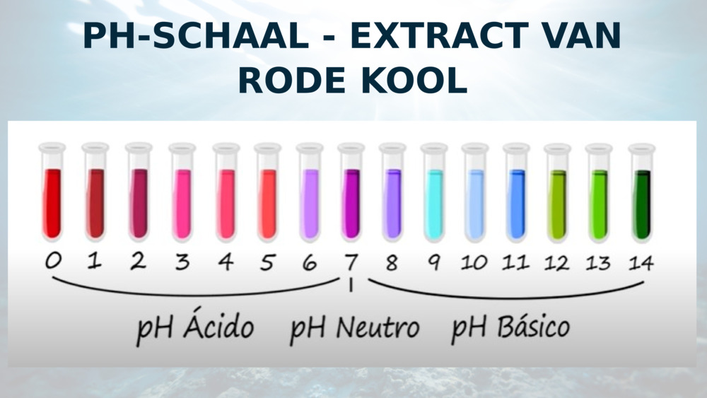 PH-SCHAAL - EXTRACT VAN RODE KOOL