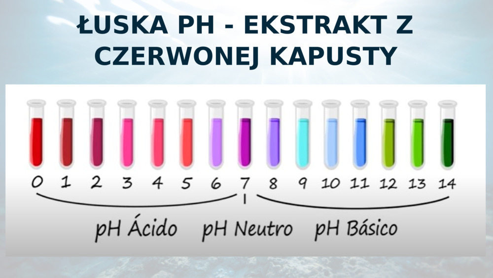 ŁUSKA PH - EKSTRAKT Z CZERWONEJ KAPUSTY