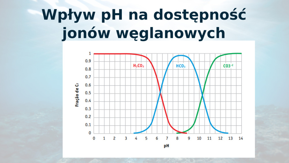 Wpływ pH na dostępność jonów węglanowych