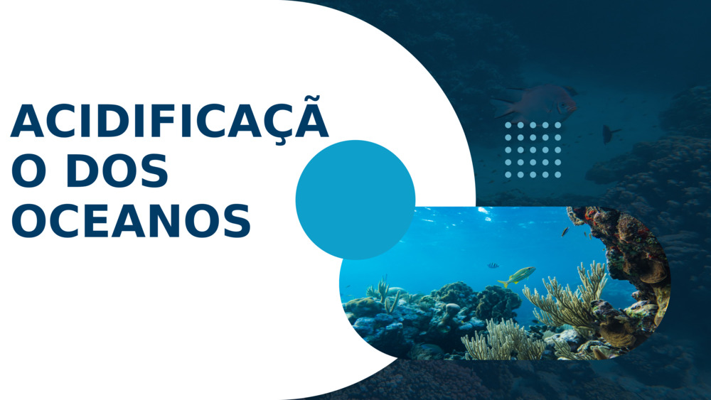 ACIDIFICAÇÃO DOS OCEANOS