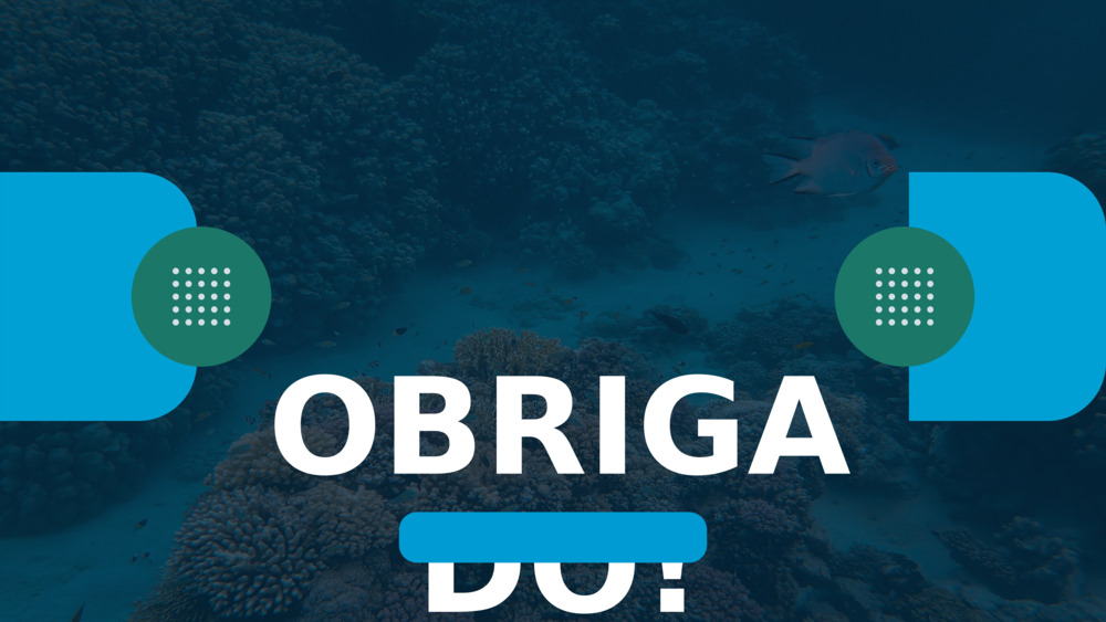 OBRIGADO!