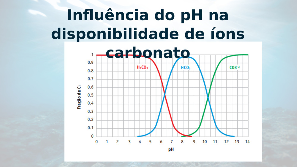 Influência do pH na disponibilidade de íons carbonato