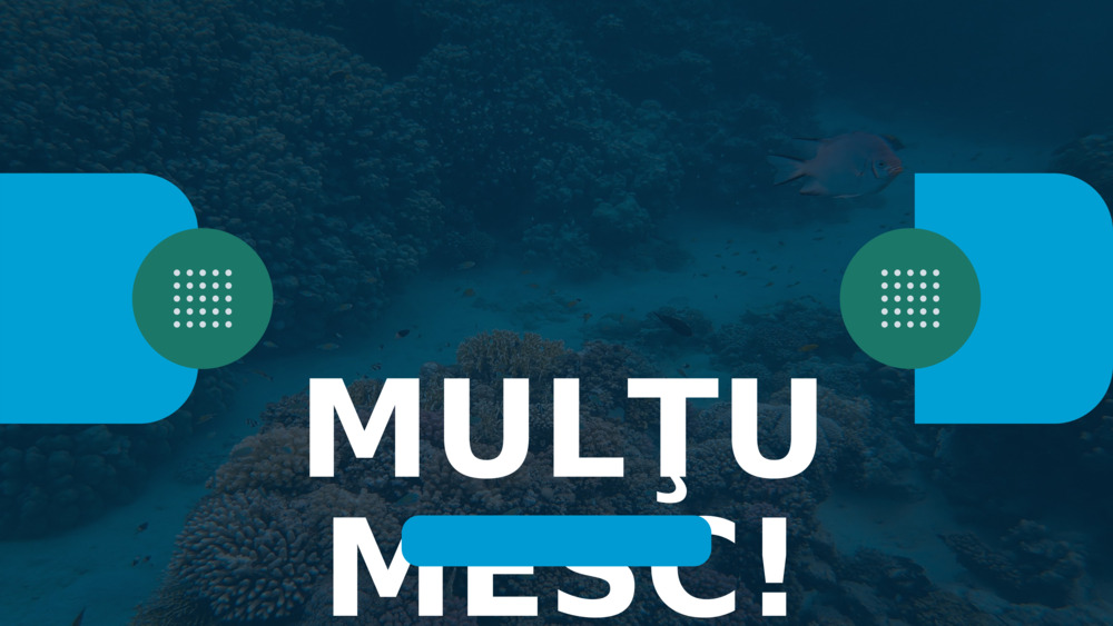 MULŢUMESC!