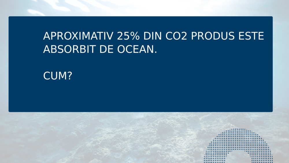 APROXIMATIV 25% DIN CO2 PRODUS ESTE ABSORBIT DE OCEAN.