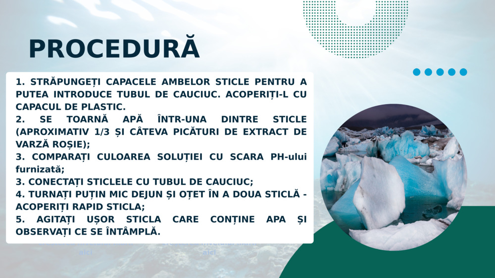 PROCEDURĂ