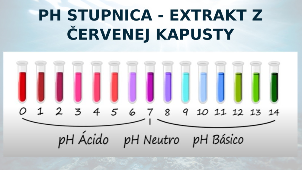PH STUPNICA - EXTRAKT Z ČERVENEJ KAPUSTY
