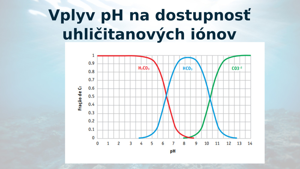 Vplyv pH na dostupnosť uhličitanových iónov
