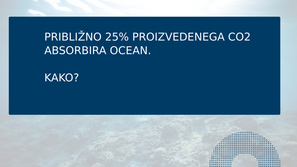 PRIBLIŽNO 25% PROIZVEDENEGA CO2 ABSORBIRA OCEAN.