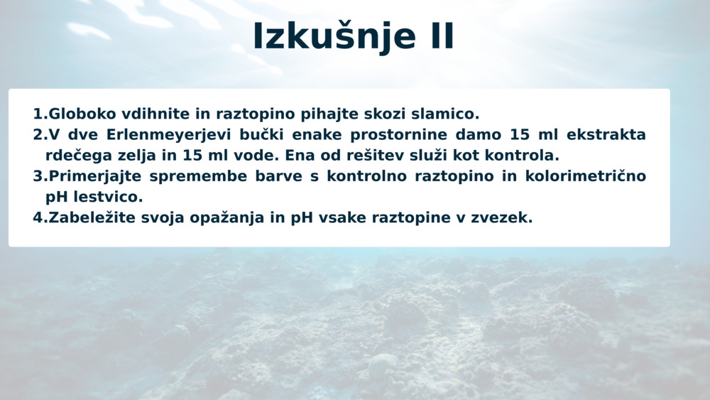 Izkušnje II