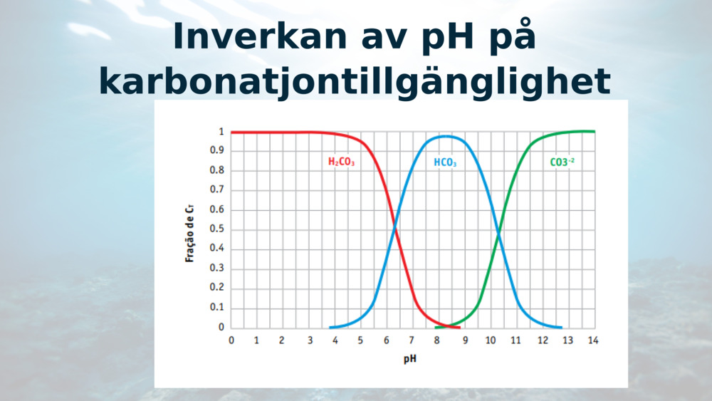Inverkan av pH på karbonatjontillgänglighet