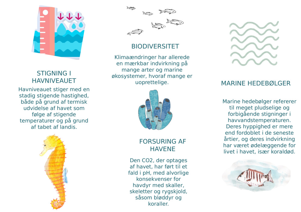 STIGNING I HAVNIVEAUET