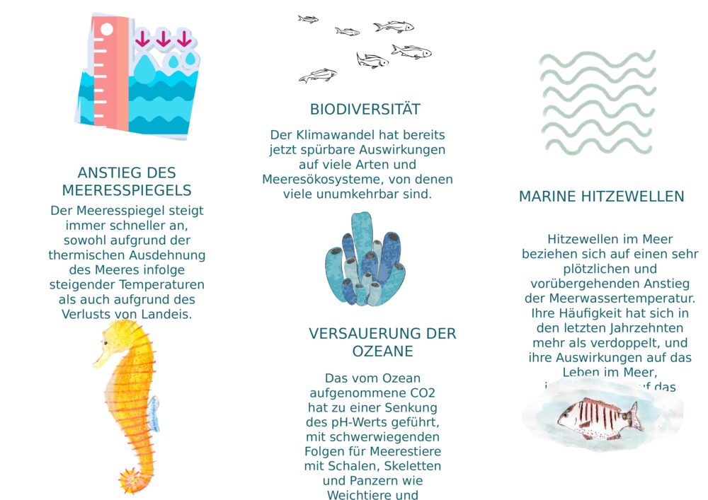 ANSTIEG DES MEERESSPIEGELS