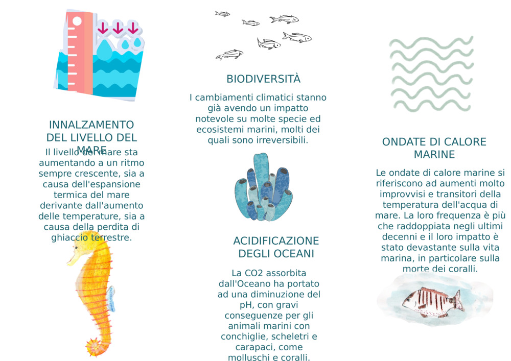 INNALZAMENTO DEL LIVELLO DEL MARE